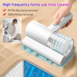 Effectively Remove Dust Mites